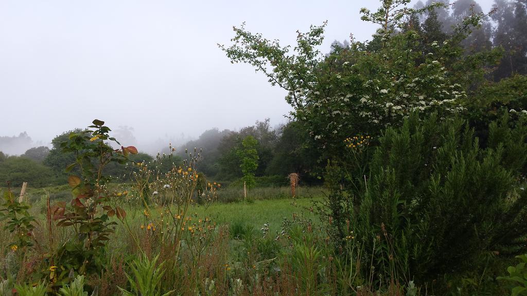 Posada Camino Del Norte Güemes Dış mekan fotoğraf